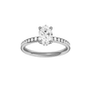 Alight: Oval, Channel, Hidden Halo