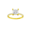 Alight: Princess, Prong, Hidden Halo