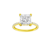 Alight: Princess, Prong, Hidden Halo