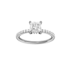 Alight: Princess, Prong, Hidden Halo