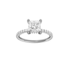Alight: Princess, Prong, Hidden Halo