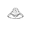 Solstice: Oval, Plain, Halo