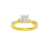 Vignette: Princess, Prong, Plain