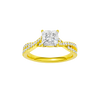 Vignette: Princess, Prong, Plain
