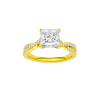 Vignette: Princess, Prong, Plain