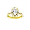 Alight: Oval, Channel, Halo
