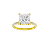 Alight: Princess, Pavé, Hidden Halo