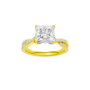 Vignette: Princess, Prong, Plain