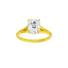 Solstice: Elongated Cushion, Plain, Hidden Halo