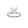 Alight: Princess, Pavé, Hidden Halo