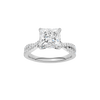 Vignette: Princess, Prong, Plain