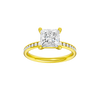 Alight: Princess, Channel, Plain