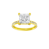 Alight: Princess, Channel, Plain