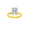 Provenance: Radiant, Plain, Plain