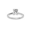 Provenance: Radiant, Plain, Plain