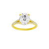 Solstice: Elongated Cushion, Prong, Hidden Halo