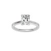 Provenance: Radiant, Plain, Plain