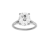 Solstice: Elongated Cushion, Prong, Hidden Halo