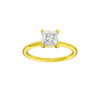 Provenance: Princess, Plain, Hidden Halo
