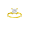 Provenance: Princess, Plain, Hidden Halo