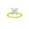Provenance: Princess, Plain, Hidden Halo