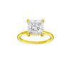 Provenance: Princess, Plain, Hidden Halo
