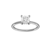 Provenance: Princess, Plain, Hidden Halo