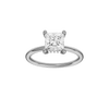 Provenance: Princess, Plain, Hidden Halo