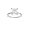 Provenance: Princess, Plain, Hidden Halo