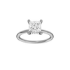 Provenance: Princess, Plain, Hidden Halo