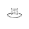 Provenance: Princess, Plain, Hidden Halo
