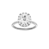Provenance: Elongated Cushion, Pavé, Halo