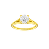 Solstice: Round, Plain, Hidden Halo