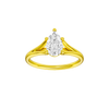 Solstice: Pear, Plain, Plain