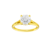Solstice: Round, Plain, Hidden Halo