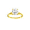 Solstice: Round, Plain, Hidden Halo