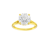 Solstice: Round, Plain, Hidden Halo