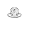 Provenance: Elongated Cushion, Pavé, Halo