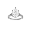 Solstice: Pear, Plain, Plain