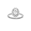Provenance: Oval, Pavé, Halo