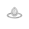 Provenance: Pear, Plain, Halo