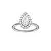 Provenance: Pear, Plain, Halo