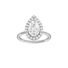 Provenance: Pear, Plain, Halo