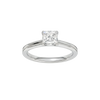 Provenance: Princess, Plain, Plain