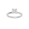 Provenance: Princess, Plain, Plain