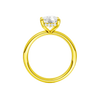 A direct profile shot highlighting the hidden halo tucked beneath the silhouette for a quiet wink of brilliance.