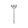 A side view of the Elongated cushion cut diamond engagement ring in platinum with a prong diamond band and cathedral setting