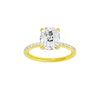 A front view of the Elongated cushion cut diamond engagement ring in 14k yellow gold with a prong diamond band and cathedral setting