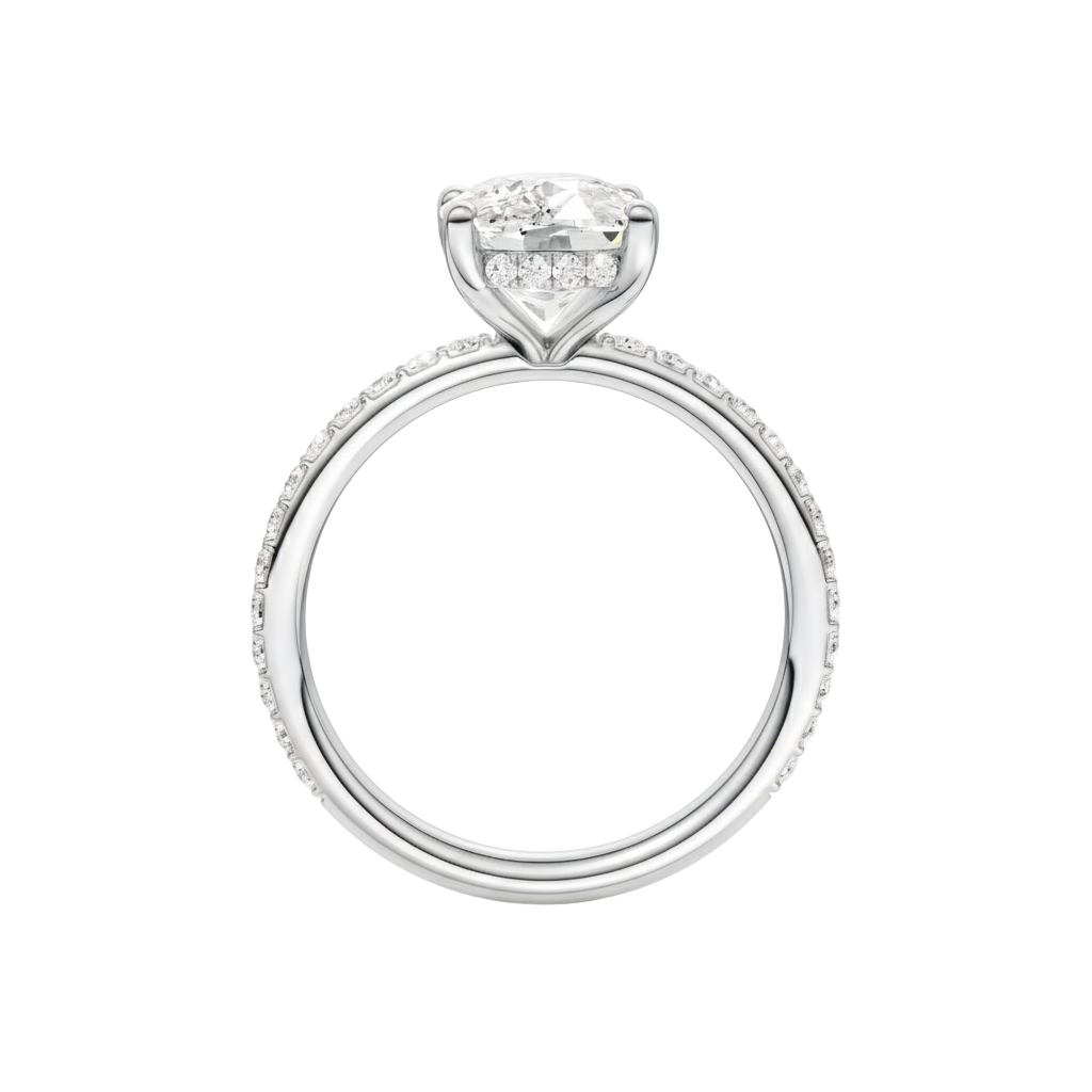 A profile view of the Elongated cushion cut diamond engagement ring in platinum with a prong diamond band and cathedral setting