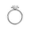 Platinum oval halo engagement ring full band profile showing continuous channel set diamonds and cathedral mounted oval halo center.